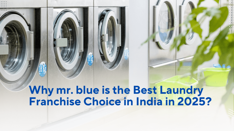 Why mr. blue is the Best Laundry Franchise Choice in India in 2025?